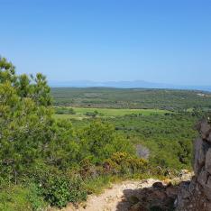 Route des Windes