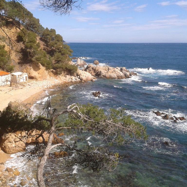 Cala El Crid Costa Brava