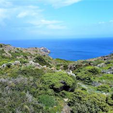 Cap de Creus